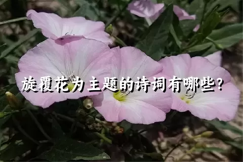 旋覆花为主题的诗词有哪些？