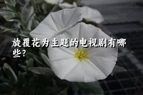 旋覆花为主题的电视剧有哪些？