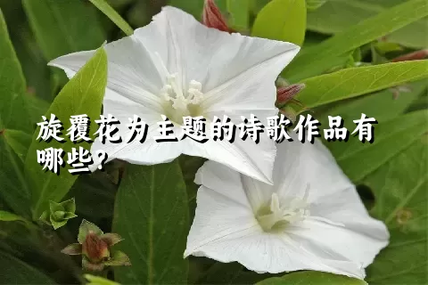 旋覆花为主题的诗歌作品有哪些？