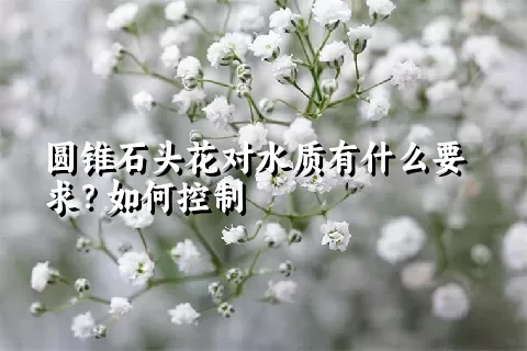 圆锥石头花对水质有什么要求？如何控制