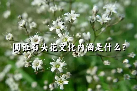 圆锥石头花文化内涵是什么？