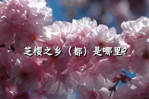 芝樱之乡（都）是哪里？