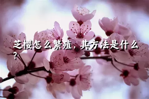 芝樱怎么繁殖，其方法是什么？