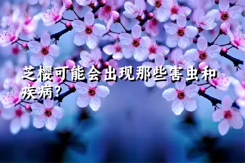 芝樱可能会出现那些害虫和疾病？