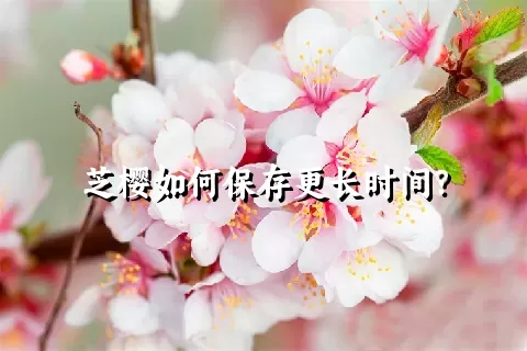 芝樱如何保存更长时间？