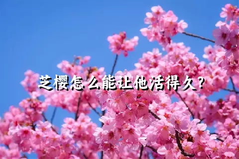 芝樱怎么能让他活得久？