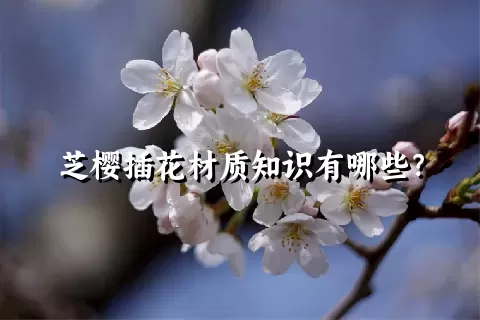 芝樱插花材质知识有哪些？