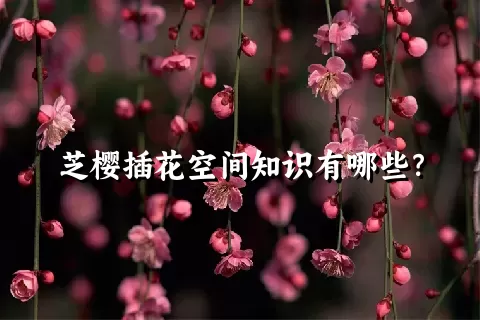 芝樱插花空间知识有哪些？