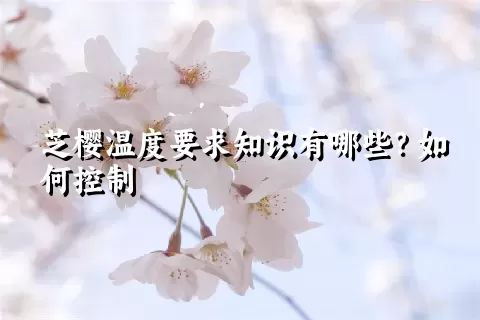 芝樱温度要求知识有哪些？如何控制