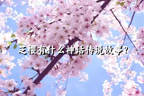 芝樱有什么神话传说故事？