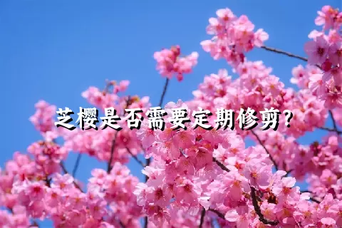 芝樱是否需要定期修剪？