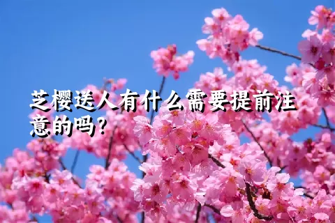 芝樱送人有什么需要提前注意的吗？