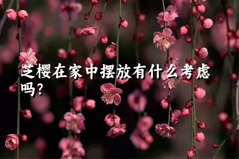 芝樱在家中摆放有什么考虑吗？