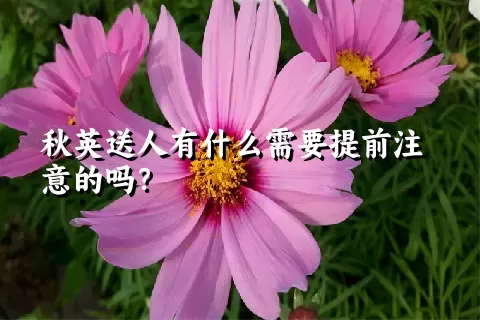 秋英送人有什么需要提前注意的吗？