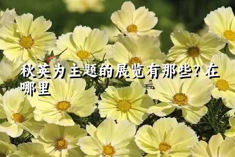 秋英为主题的展览有那些？在哪里