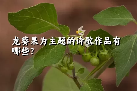 龙葵果为主题的诗歌作品有哪些？