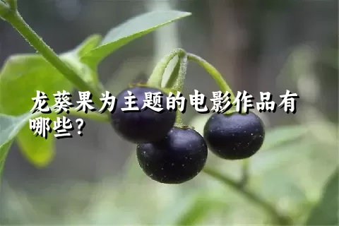 龙葵果为主题的电影作品有哪些？