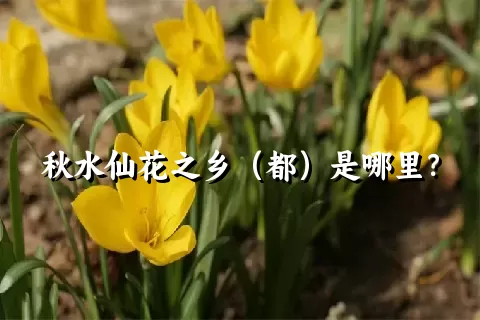 秋水仙花之乡（都）是哪里？