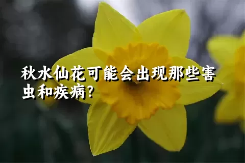 秋水仙花可能会出现那些害虫和疾病？