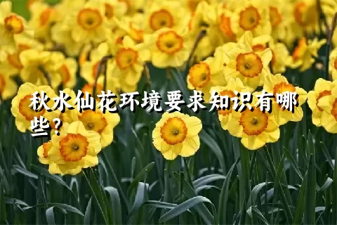 秋水仙花环境要求知识有哪些？