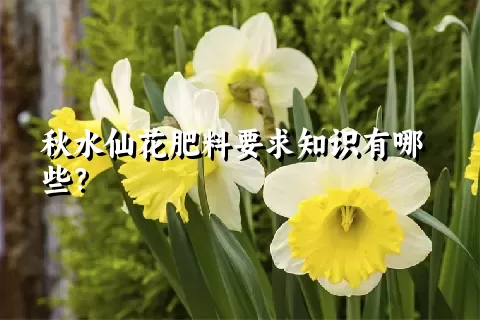 秋水仙花肥料要求知识有哪些？