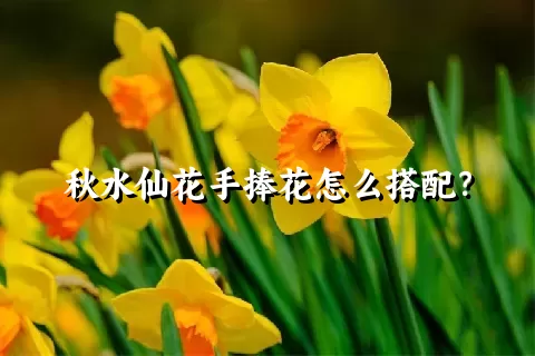 秋水仙花手捧花怎么搭配？