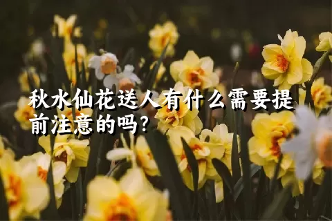 秋水仙花送人有什么需要提前注意的吗？