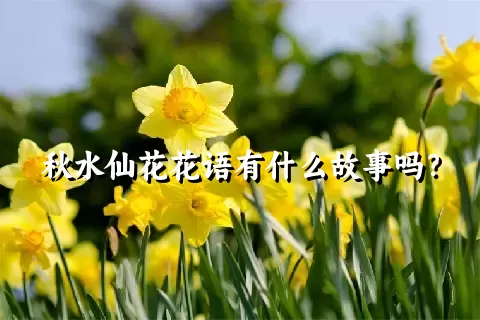 秋水仙花花语有什么故事吗？