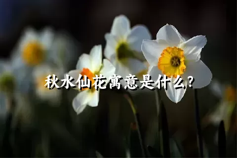 秋水仙花寓意是什么？