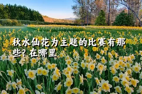 秋水仙花为主题的比赛有那些？在哪里