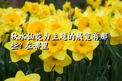 秋水仙花为主题的展览有那些？在哪里