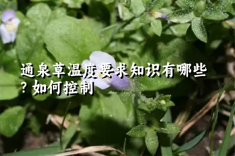 通泉草温度要求知识有哪些？如何控制