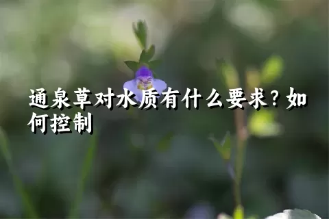 通泉草对水质有什么要求？如何控制