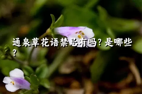 通泉草花语禁忌有吗？是哪些？