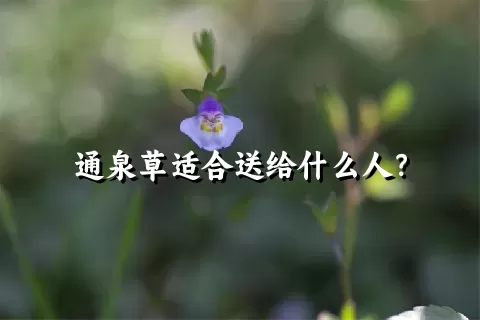 通泉草适合送给什么人？