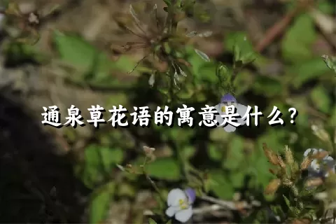 通泉草花语的寓意是什么？