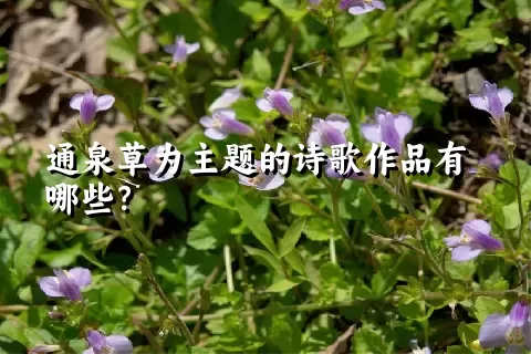 通泉草为主题的诗歌作品有哪些？