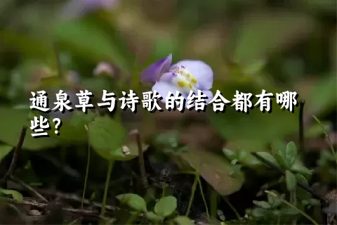 通泉草与诗歌的结合都有哪些？