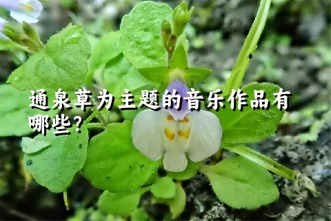 通泉草为主题的音乐作品有哪些？