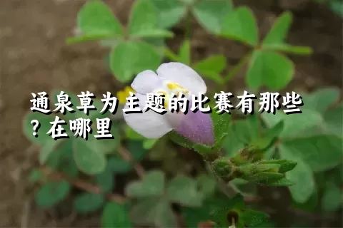 通泉草为主题的比赛有那些？在哪里