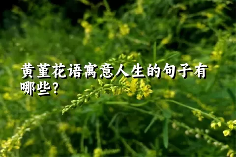 黄堇花语寓意人生的句子有哪些？