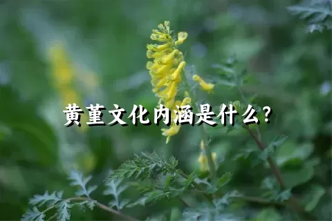 黄堇文化内涵是什么？