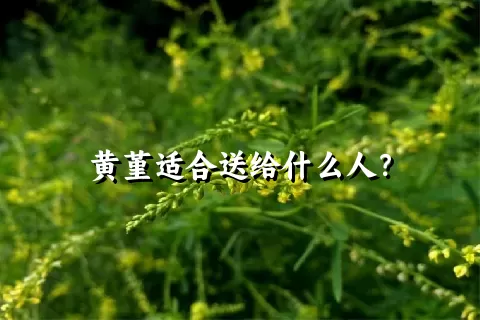 黄堇适合送给什么人？