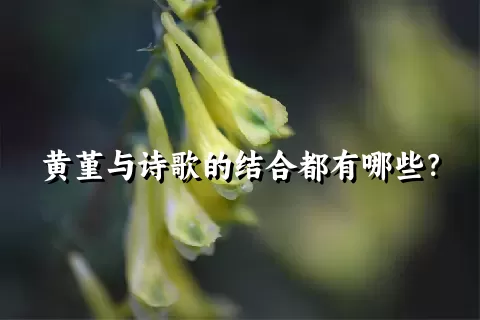 黄堇与诗歌的结合都有哪些？