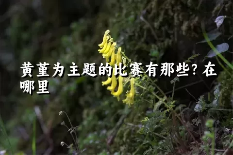 黄堇为主题的比赛有那些？在哪里