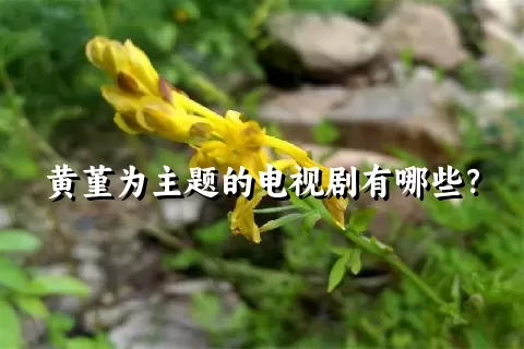 黄堇为主题的电视剧有哪些？