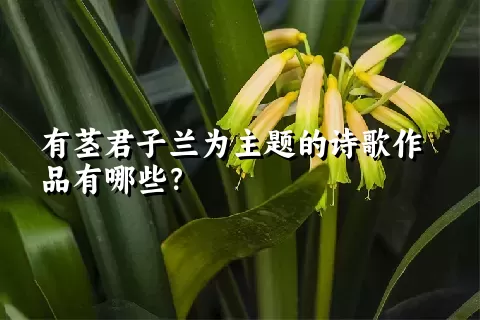 有茎君子兰为主题的诗歌作品有哪些？