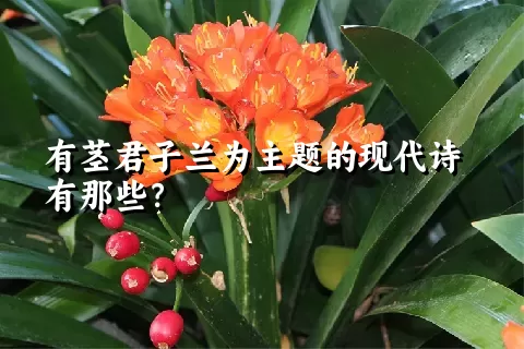 有茎君子兰为主题的现代诗有那些？