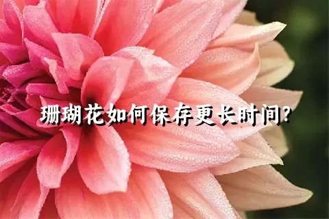 珊瑚花如何保存更长时间？