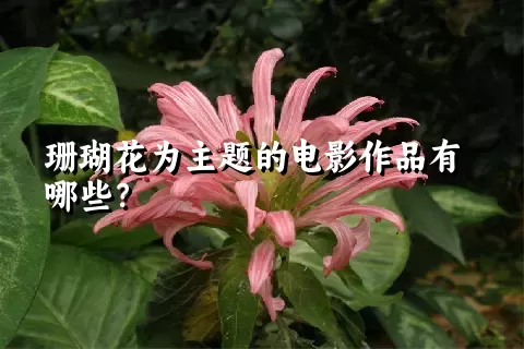 珊瑚花为主题的电影作品有哪些？